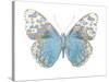 Buterfly with Indigo-Julia Bosco-Stretched Canvas