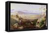 Butrinto, Albania-Edward Lear-Framed Stretched Canvas