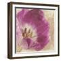 Buttercream Tulip 1I-Mindy Sommers-Framed Giclee Print