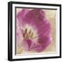 Buttercream Tulip 1I-Mindy Sommers-Framed Giclee Print