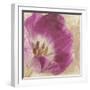 Buttercream Tulip 1I-Mindy Sommers-Framed Giclee Print