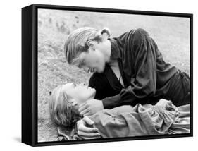 Buttercup and Westley Laying on the Grass-null-Framed Stretched Canvas