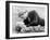 Buttercup and Westley Laying on the Grass-null-Framed Photo