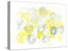 Buttercup Fancy-Sarah Von Dreele-Stretched Canvas