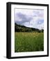 Buttercup Field and Selbourne Hanger, Selbourne, Alton, Hampshire, England, United Kingdom-Michael Busselle-Framed Photographic Print