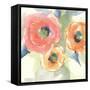 Buttercup II-Chris Paschke-Framed Stretched Canvas