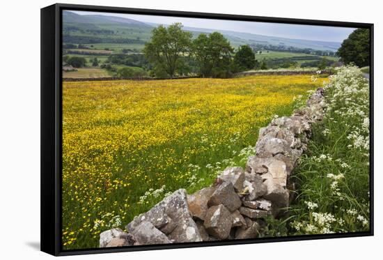 Buttercup Meadow Near Aysgarth in Wensleydale-Mark Sunderland-Framed Stretched Canvas