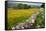 Buttercup Meadow Near Aysgarth in Wensleydale-Mark Sunderland-Framed Stretched Canvas