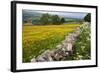 Buttercup Meadow Near Aysgarth in Wensleydale-Mark Sunderland-Framed Photographic Print