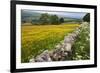 Buttercup Meadow Near Aysgarth in Wensleydale-Mark Sunderland-Framed Photographic Print