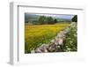 Buttercup Meadow Near Aysgarth in Wensleydale-Mark Sunderland-Framed Photographic Print