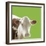 Buttercup-Linda Wood-Framed Giclee Print