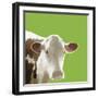 Buttercup-Linda Wood-Framed Giclee Print