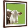 Buttercup-Linda Wood-Framed Giclee Print