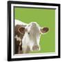 Buttercup-Linda Wood-Framed Giclee Print