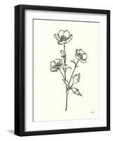 Buttercup-Moira Hershey-Framed Art Print