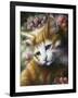 Buttercup-Jenny Newland-Framed Giclee Print