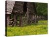 Buttercups and Cantilever Barn, Pioneer Homestead, Great Smoky Mountains National Park, N. Carolina-Adam Jones-Stretched Canvas