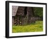 Buttercups and Cantilever Barn, Pioneer Homestead, Great Smoky Mountains National Park, N. Carolina-Adam Jones-Framed Premium Photographic Print