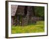 Buttercups and Cantilever Barn, Pioneer Homestead, Great Smoky Mountains National Park, N. Carolina-Adam Jones-Framed Photographic Print