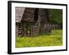 Buttercups and Cantilever Barn, Pioneer Homestead, Great Smoky Mountains National Park, N. Carolina-Adam Jones-Framed Photographic Print