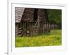 Buttercups and Cantilever Barn, Pioneer Homestead, Great Smoky Mountains National Park, N. Carolina-Adam Jones-Framed Photographic Print