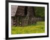 Buttercups and Cantilever Barn, Pioneer Homestead, Great Smoky Mountains National Park, N. Carolina-Adam Jones-Framed Photographic Print