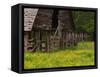 Buttercups and Cantilever Barn, Pioneer Homestead, Great Smoky Mountains National Park, N. Carolina-Adam Jones-Framed Stretched Canvas