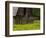 Buttercups and Cantilever Barn, Pioneer Homestead, Great Smoky Mountains National Park, N. Carolina-Adam Jones-Framed Photographic Print