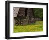 Buttercups and Cantilever Barn, Pioneer Homestead, Great Smoky Mountains National Park, N. Carolina-Adam Jones-Framed Photographic Print