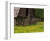 Buttercups and Cantilever Barn, Pioneer Homestead, Great Smoky Mountains National Park, N. Carolina-Adam Jones-Framed Photographic Print