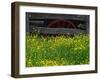 Buttercups and Wagon Wheel, Pioneer Homestead, Great Smoky Mountains National Park, North Carolina-Adam Jones-Framed Photographic Print