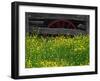 Buttercups and Wagon Wheel, Pioneer Homestead, Great Smoky Mountains National Park, North Carolina-Adam Jones-Framed Photographic Print