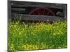 Buttercups and Wagon Wheel, Pioneer Homestead, Great Smoky Mountains National Park, North Carolina-Adam Jones-Mounted Photographic Print