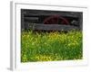 Buttercups and Wagon Wheel, Pioneer Homestead, Great Smoky Mountains National Park, North Carolina-Adam Jones-Framed Photographic Print