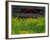 Buttercups and Wagon Wheel, Pioneer Homestead, Great Smoky Mountains National Park, North Carolina-Adam Jones-Framed Photographic Print