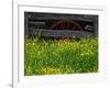 Buttercups and Wagon Wheel, Pioneer Homestead, Great Smoky Mountains National Park, North Carolina-Adam Jones-Framed Photographic Print