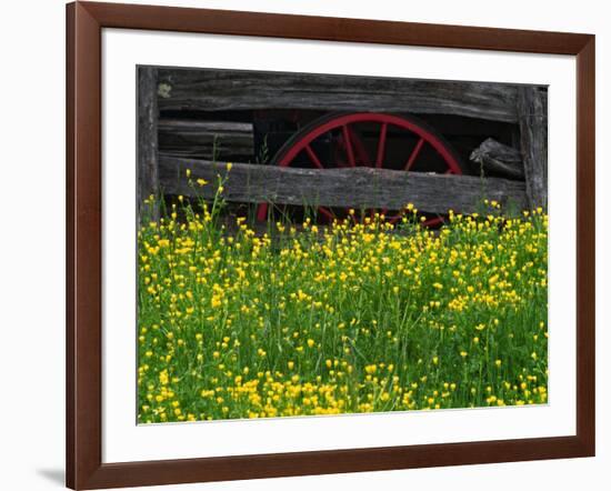 Buttercups and Wagon Wheel, Pioneer Homestead, Great Smoky Mountains National Park, North Carolina-Adam Jones-Framed Photographic Print