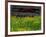 Buttercups and Wagon Wheel, Pioneer Homestead, Great Smoky Mountains National Park, North Carolina-Adam Jones-Framed Photographic Print