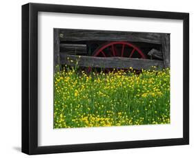 Buttercups and Wagon Wheel, Pioneer Homestead, Great Smoky Mountains National Park, North Carolina-Adam Jones-Framed Photographic Print