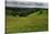 Buttercups (Ranunculus Acris) Flowering in a Meadow, Oesling, Ardennes, Luxembourg, May 2009-Tønning-Stretched Canvas