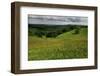 Buttercups (Ranunculus Acris) Flowering in a Meadow, Oesling, Ardennes, Luxembourg, May 2009-Tønning-Framed Photographic Print