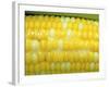 Buttered Sweet Corn-Chuck Haney-Framed Photographic Print