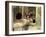 Butterfield 8, Elizabeth Taylor, 1960-null-Framed Photo