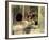 Butterfield 8, Elizabeth Taylor, 1960-null-Framed Photo