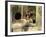 Butterfield 8, Elizabeth Taylor, 1960-null-Framed Photo