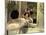 Butterfield 8, Elizabeth Taylor, 1960-null-Mounted Photo