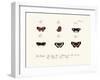 Butterflies, 1783-1806-null-Framed Giclee Print