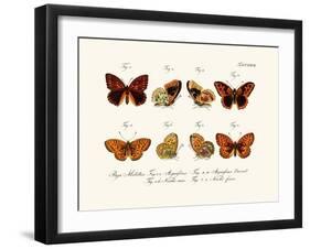 Butterflies, 1783-1806-null-Framed Giclee Print