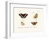 Butterflies, 1783-1806-null-Framed Giclee Print